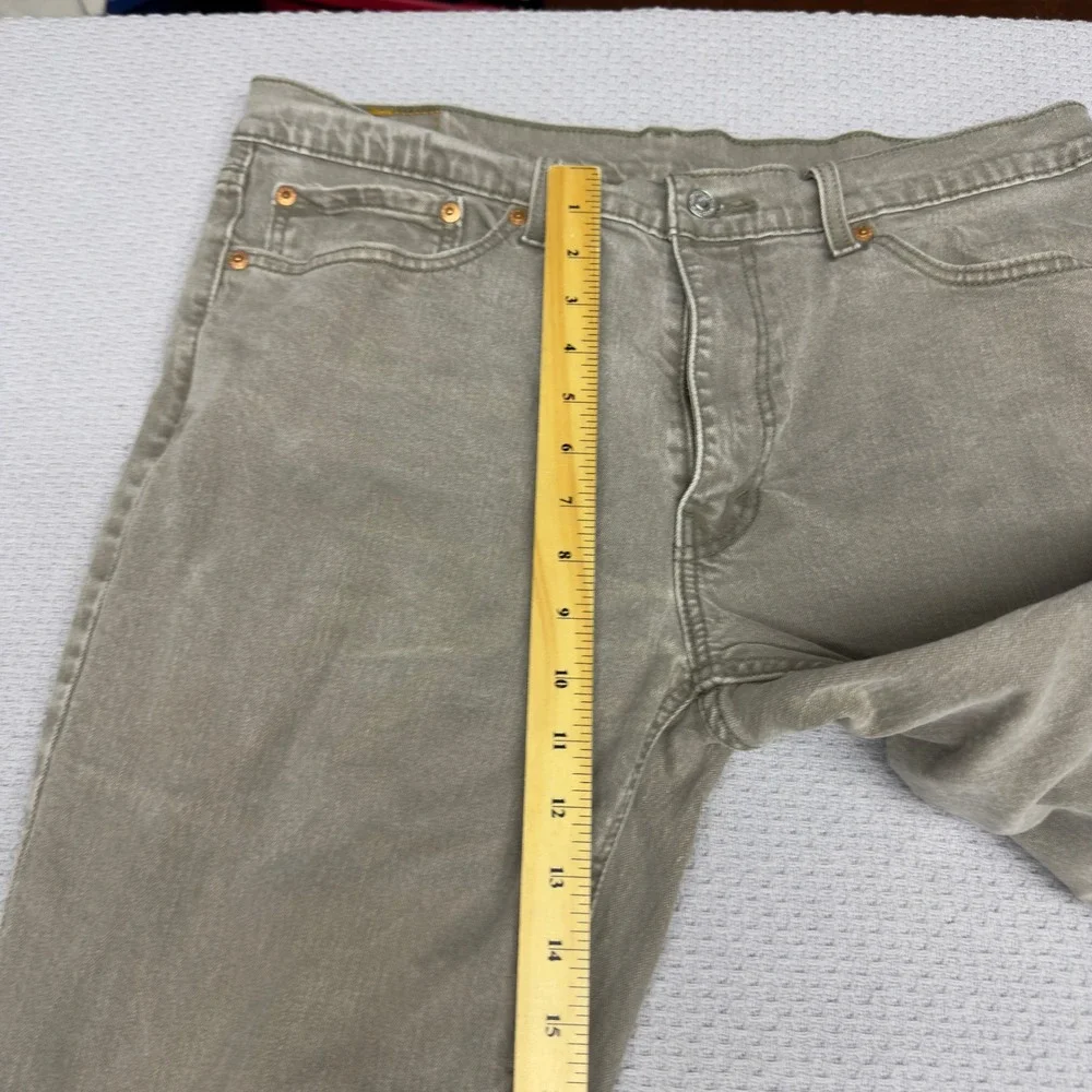 Levis levi 541